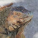 Costa Rica20150403-1840-0880